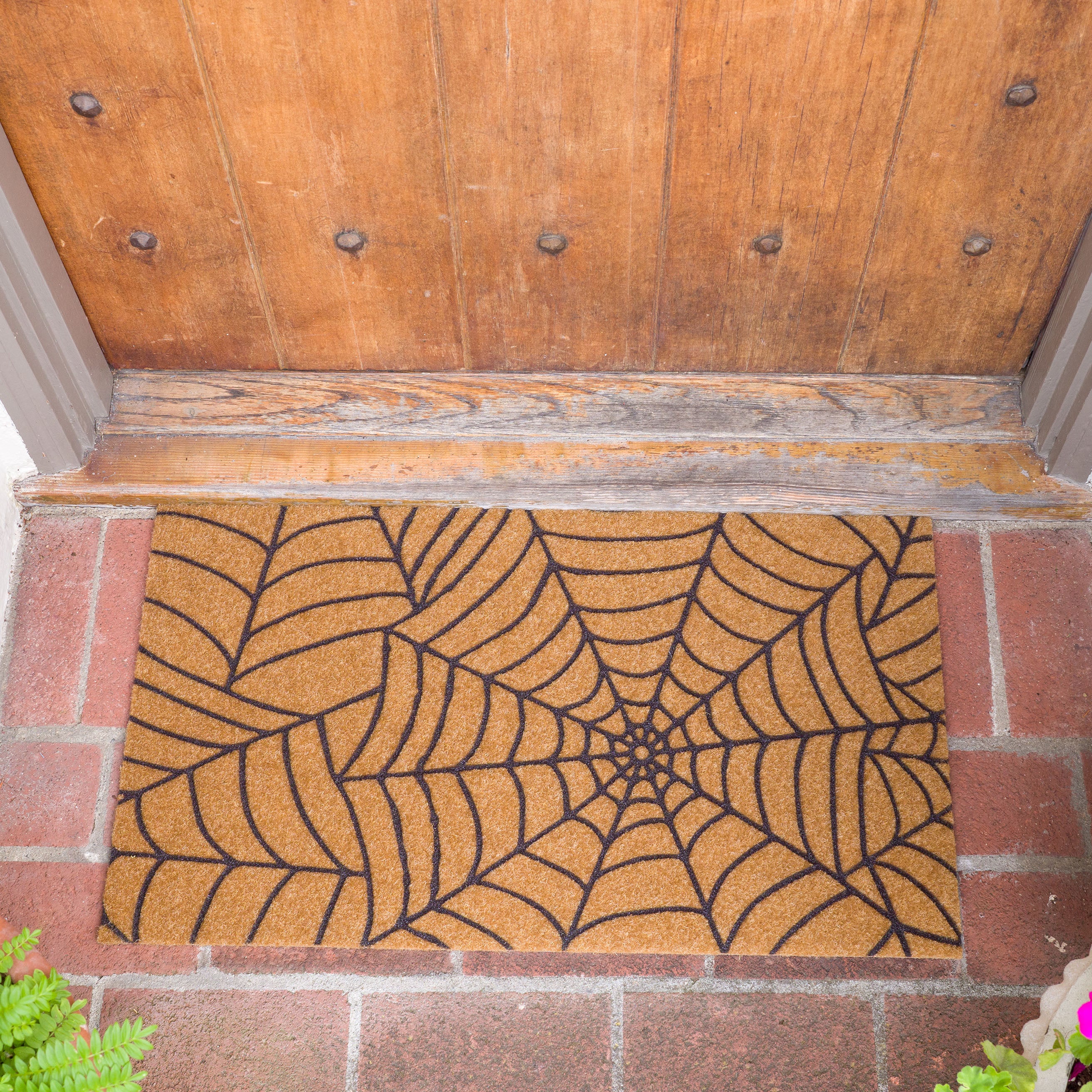 Spiderweb Eco Coir Doormat