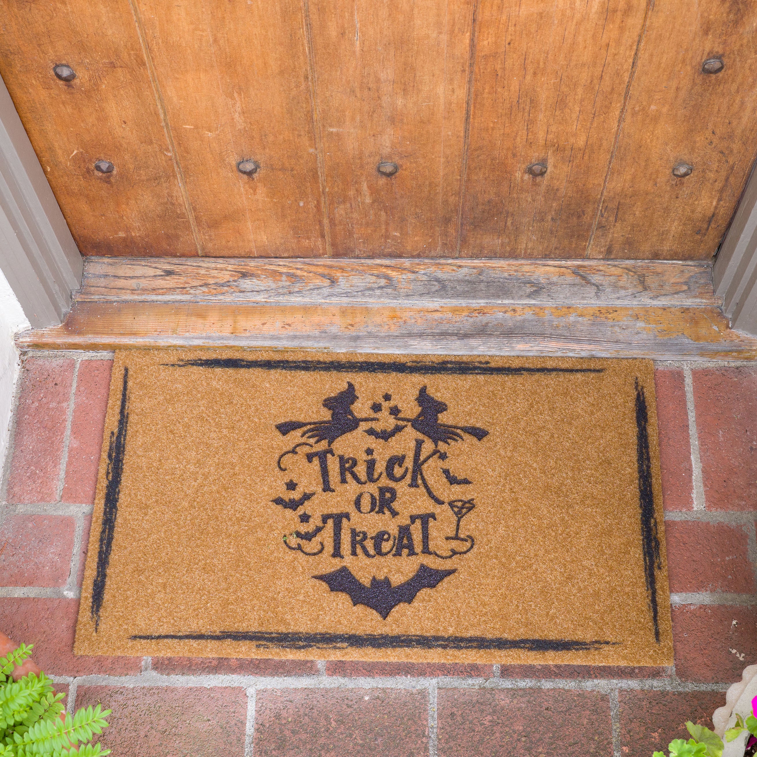 Trick or Treat Eco Coir Doormat