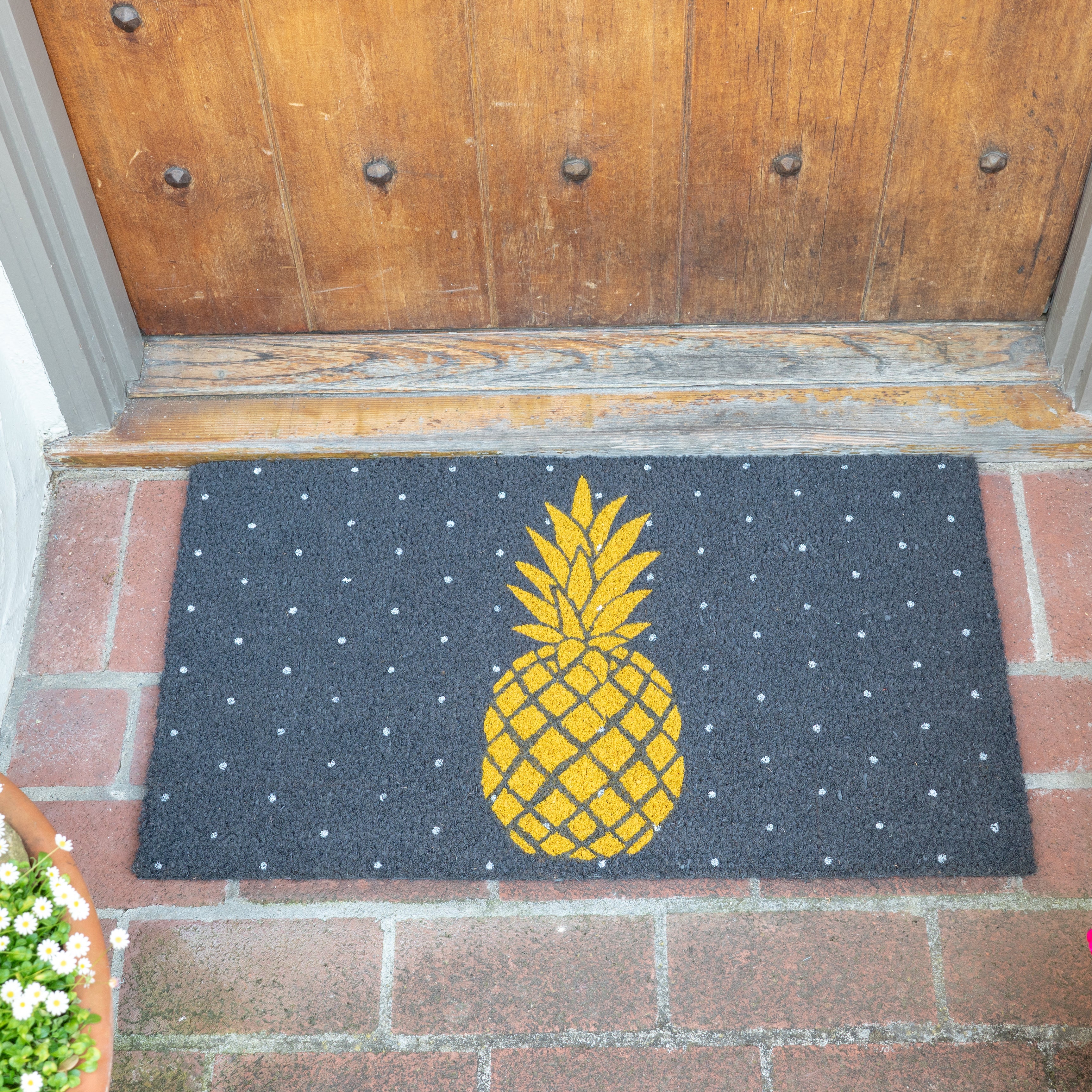 Pineapple Coir Doormat
