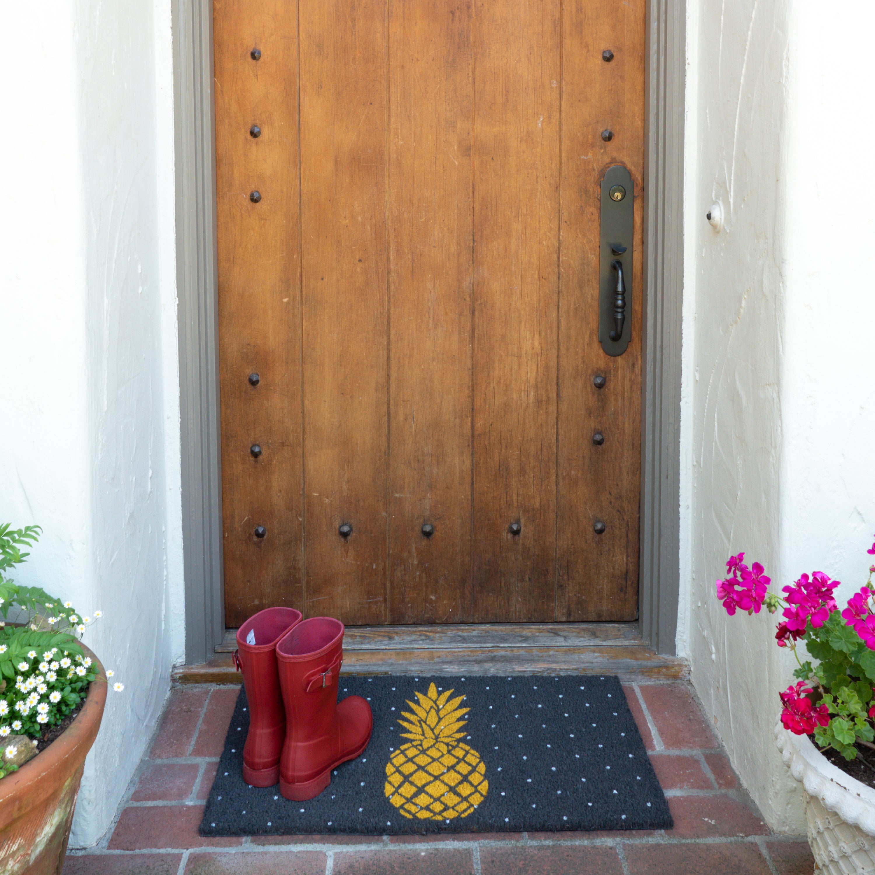 Pineapple Coir Doormat